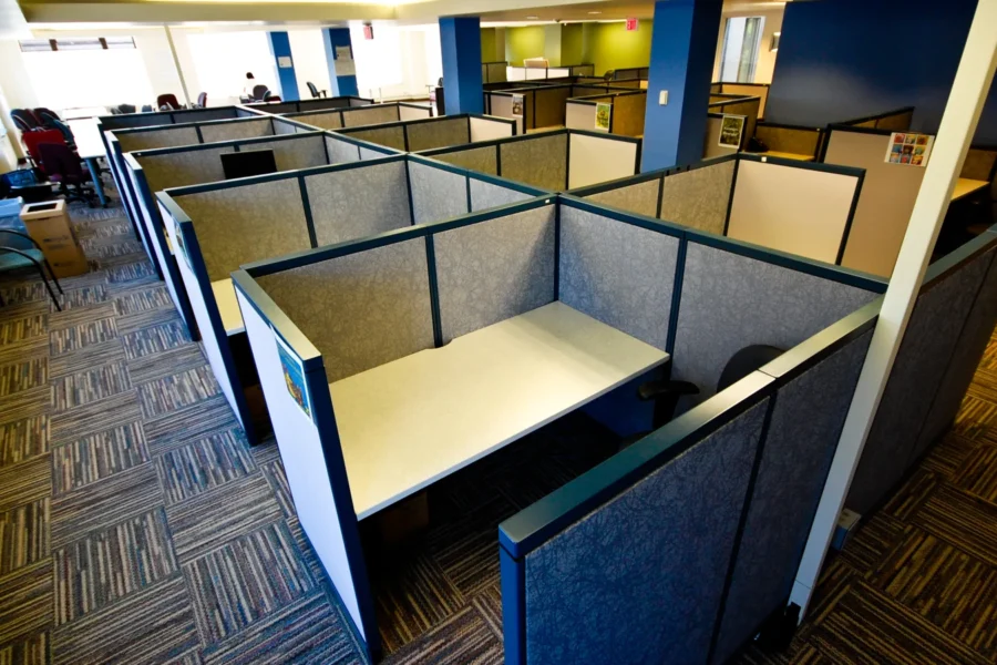 Only 41.9% of new companies pass five years: survival requires more than a strong idea