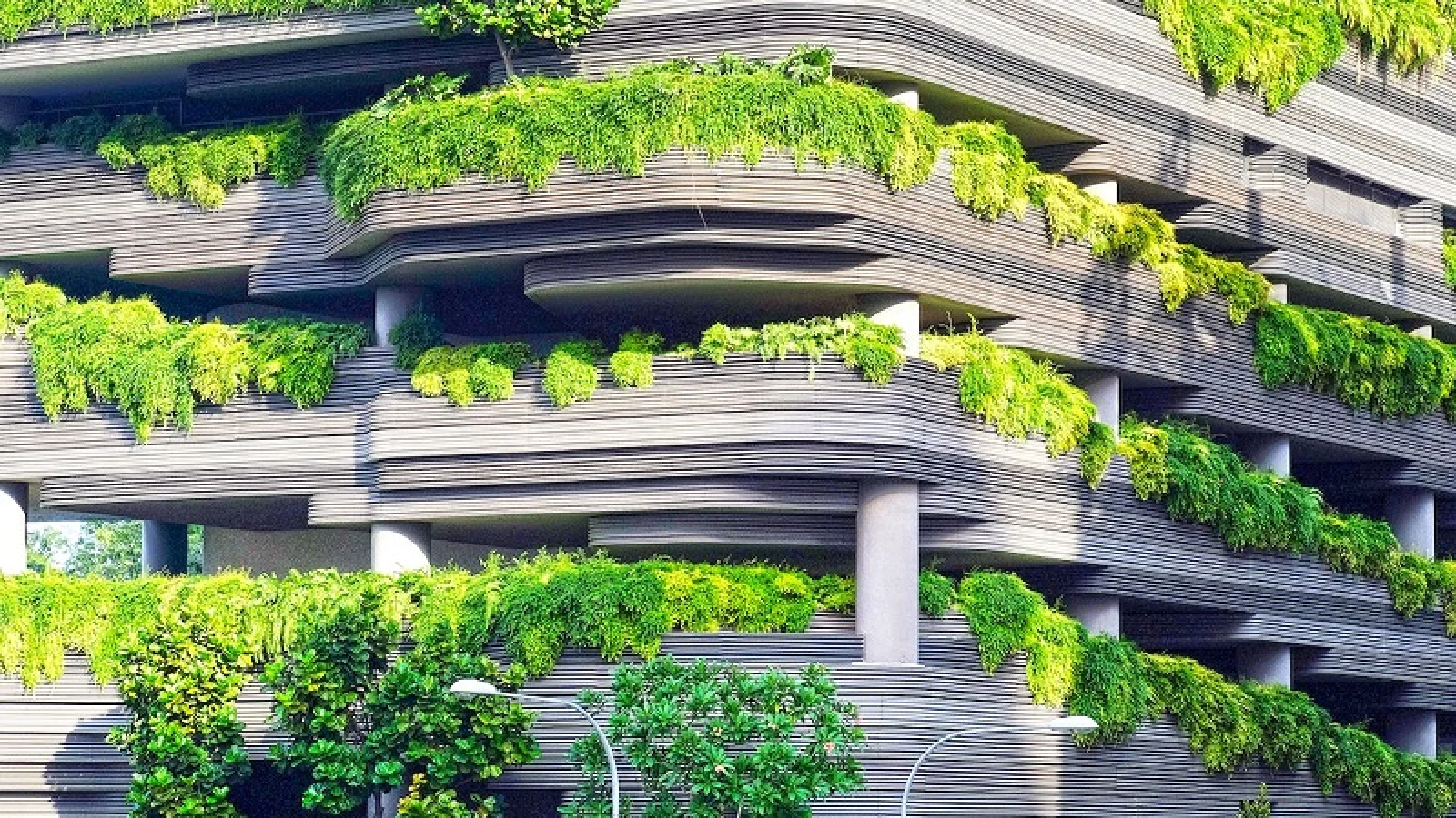 Sustainable contemporary residential architecture